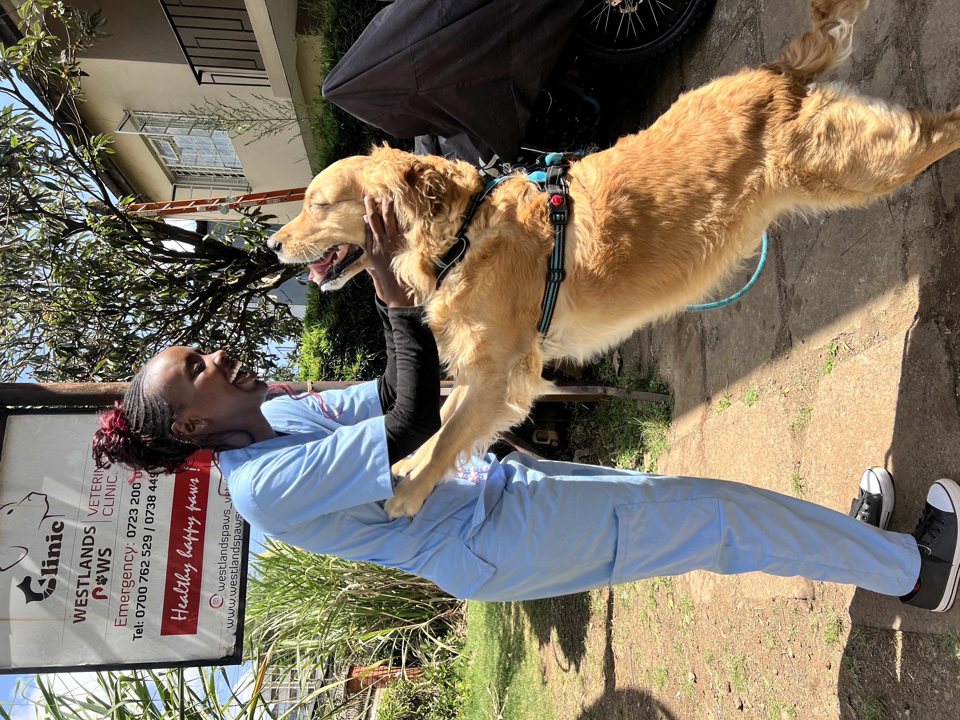 Westlands Paws veterinary team Nairobi